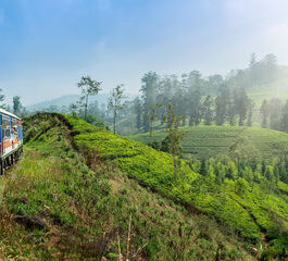 Sri Lanka Turu Air Arabia İle  Her Pazar Hareket 7 Gece 